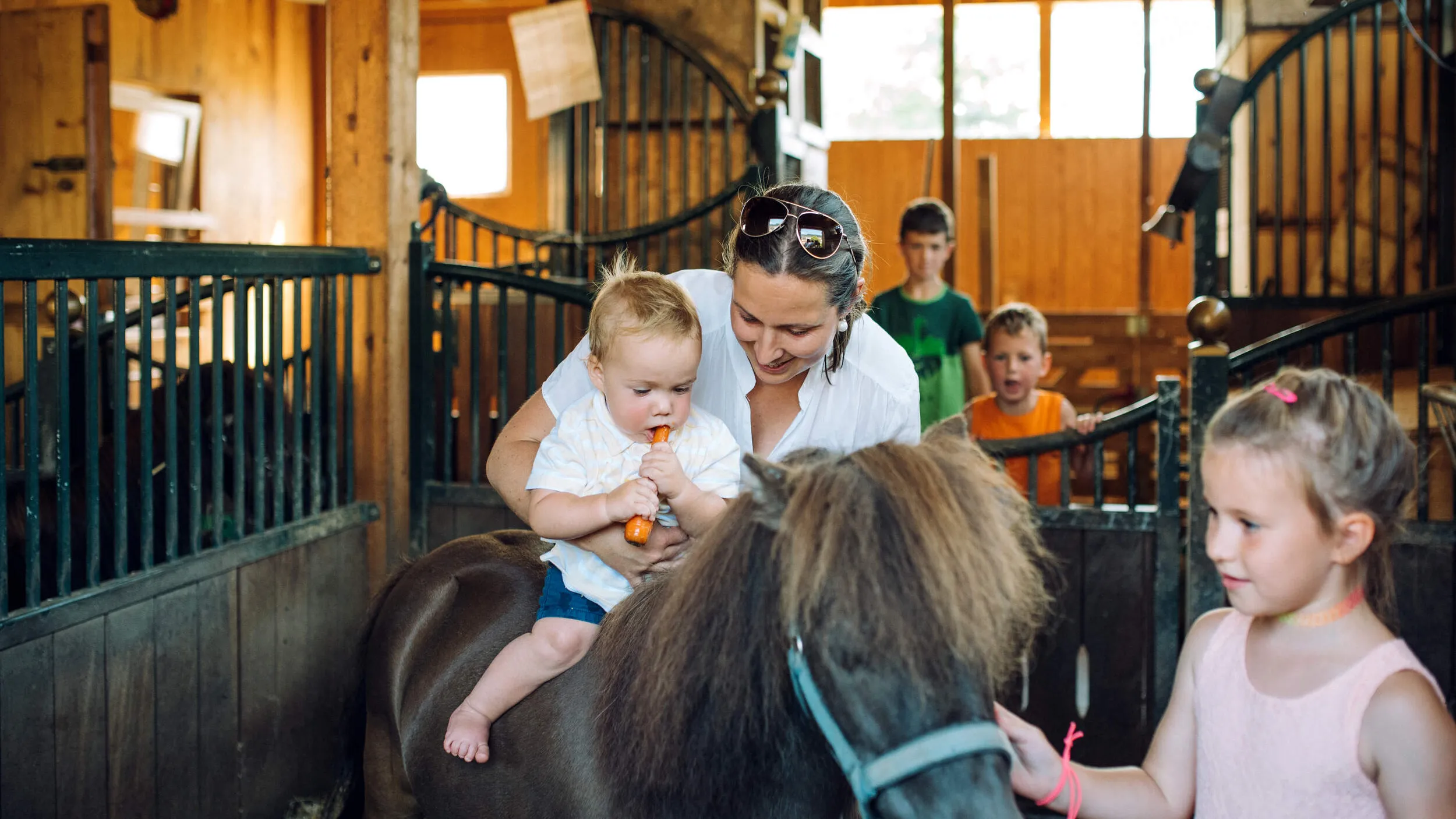 Streichelzoo im Erlebnisgästehaus Kanisfluh @Banjamin Schlachter