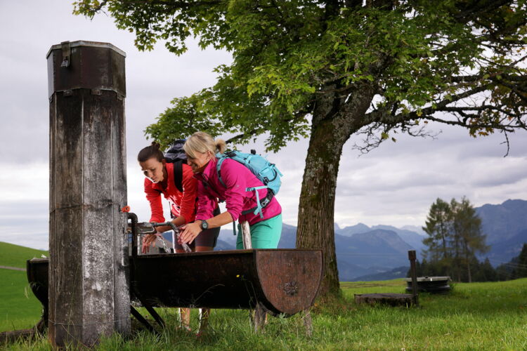 Wandern im Bregenzerwald